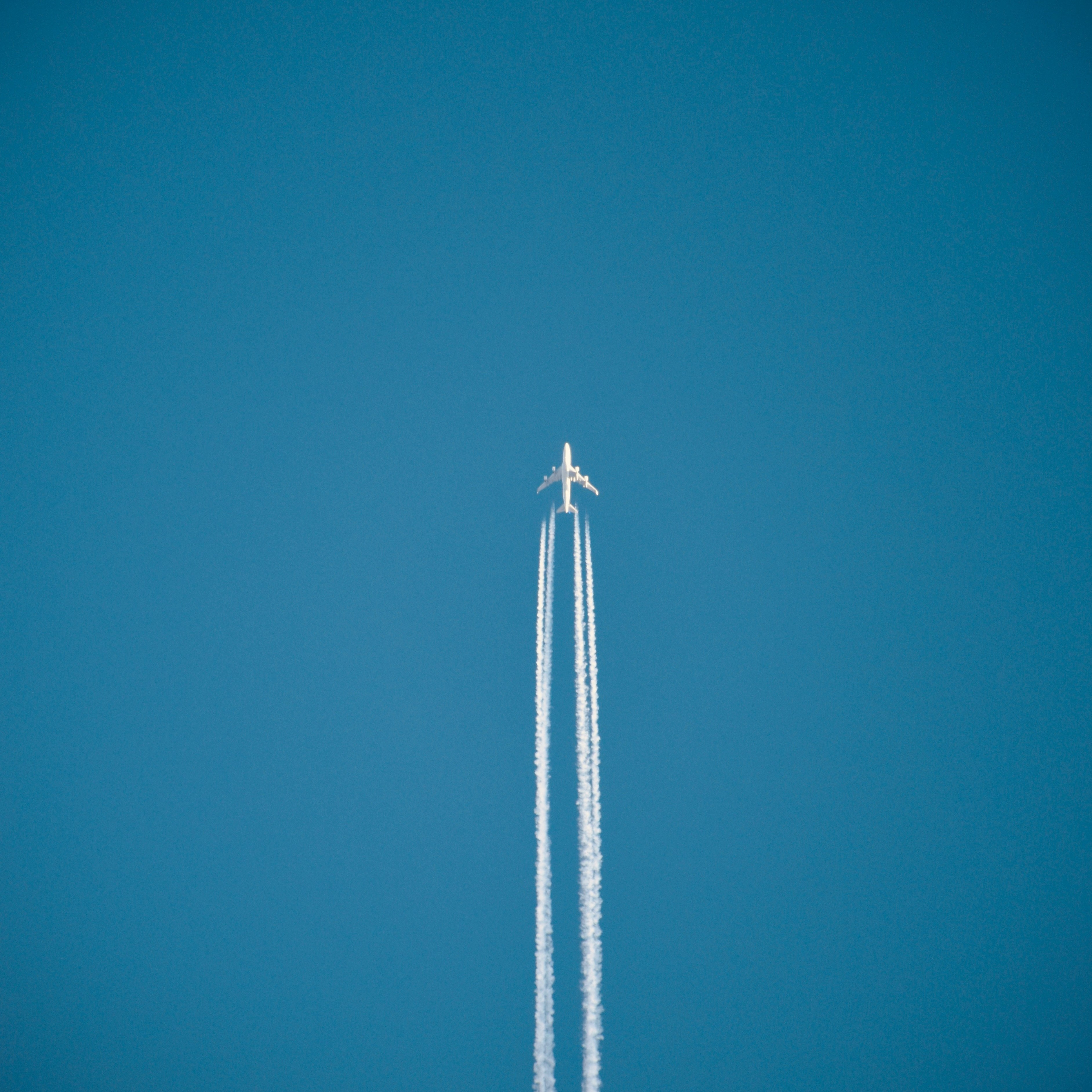 Photo of beauifully arranged food
